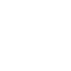 worldwide independent network